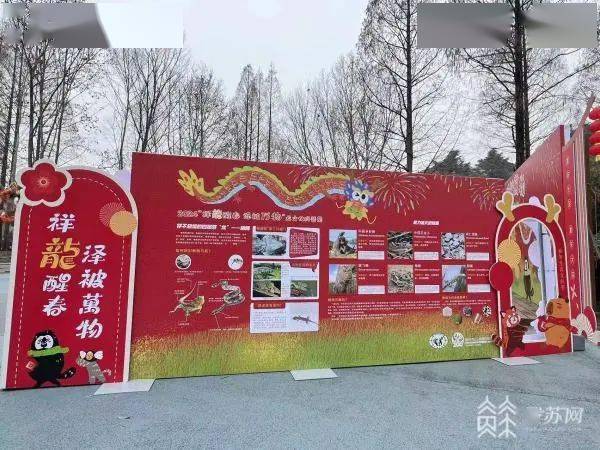 江蘇各地排出精彩文旅活動_遊客_景區_動物園