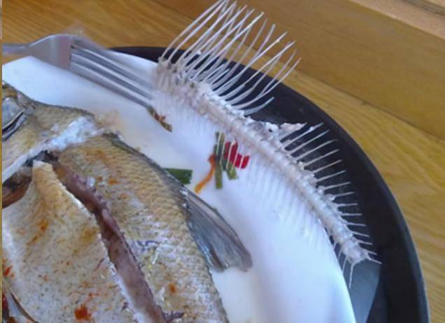 鱼刺很难处理",必须请耳鼻喉专家来会诊,然后让她躺在担架上去急诊室