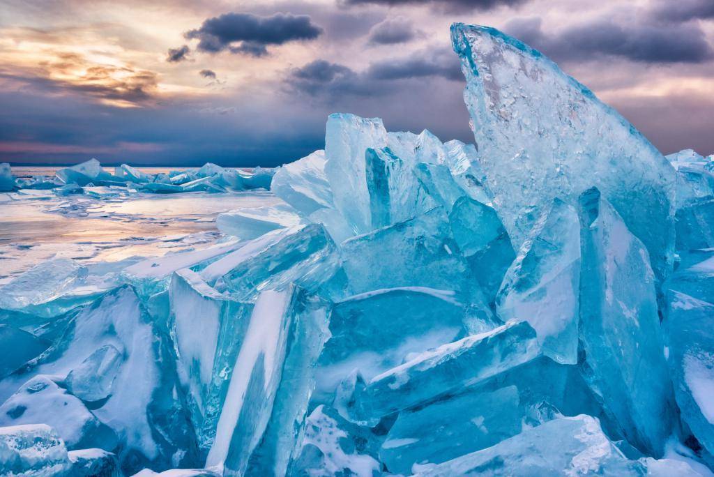 湖水_湖面_生物