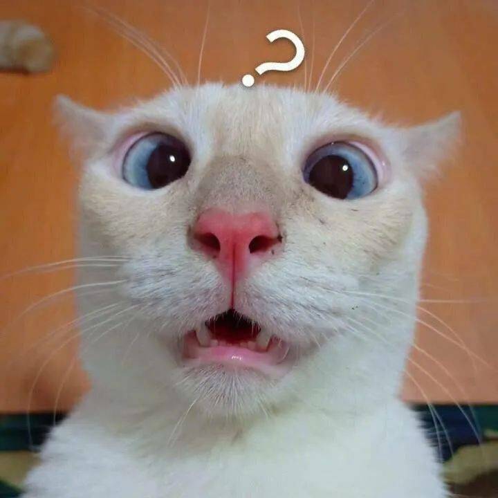 《百姓关注》新年许愿ai直播