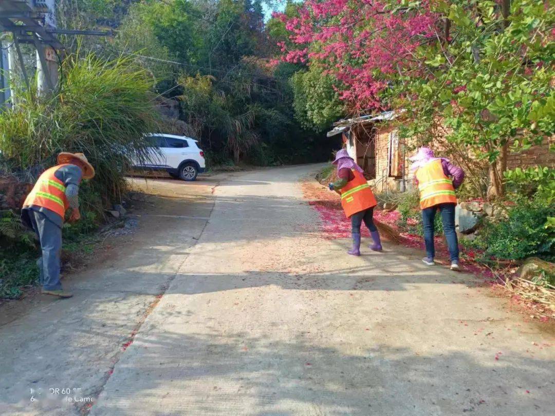 为乡镇"净"颜 喜迎新春|蓬华镇开展环境卫生专项整治