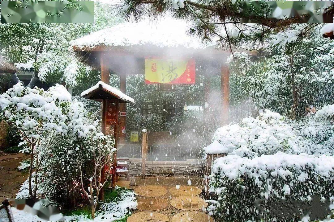 推出茶山滑雪場,茶溪川冰雪嘉年華,費縣利山澗·夢裡雪鄉,立晨農莊嬉