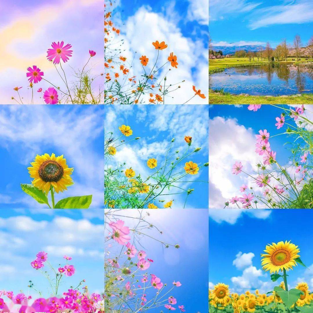 五彩斑斓,百花齐放!