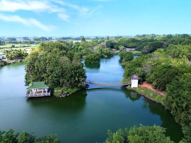 荡漾徜徉天然氧吧一呼一吸触摸大自然"绿动"九龙山红树林国家湿地公园