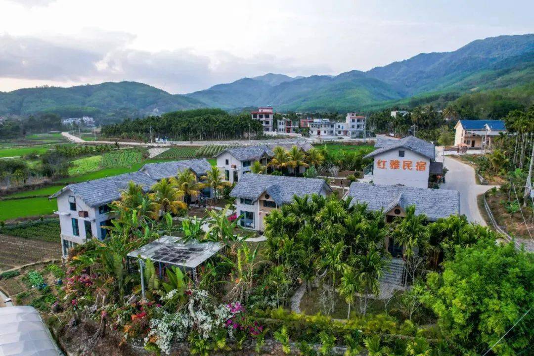 海南100家特色民宿评选结果出炉!五指山有→_旅游_游客_市场