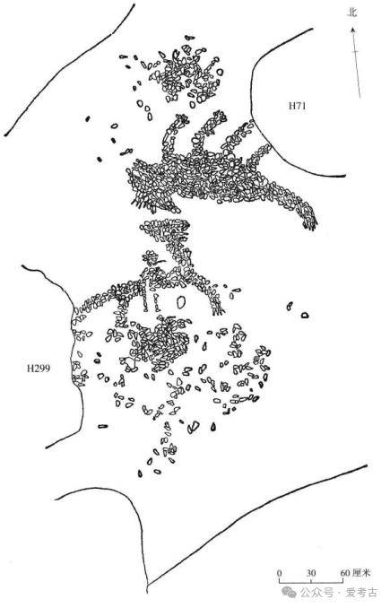 吕鹏| 龙的动物源_遗址_形象_文化