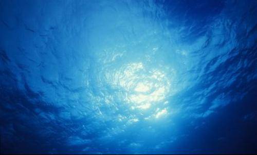 【地理视野】海洋沉积——深海海底的被子,高考真题""