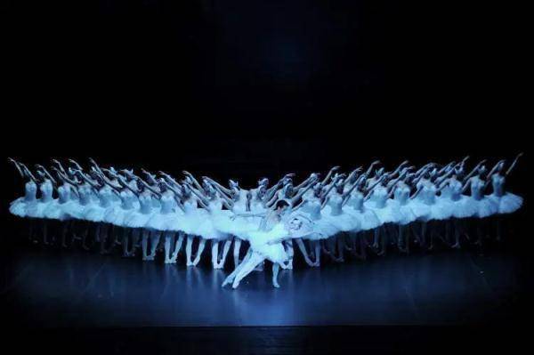 在"上芭"跳了7年《天鹅湖》,今年她亮相央视春晚