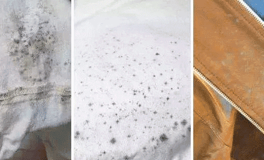 常见的霉菌滋生地包括墙角,瓷砖缝隙,浴帘,水龙头等区域,以及浴室密封