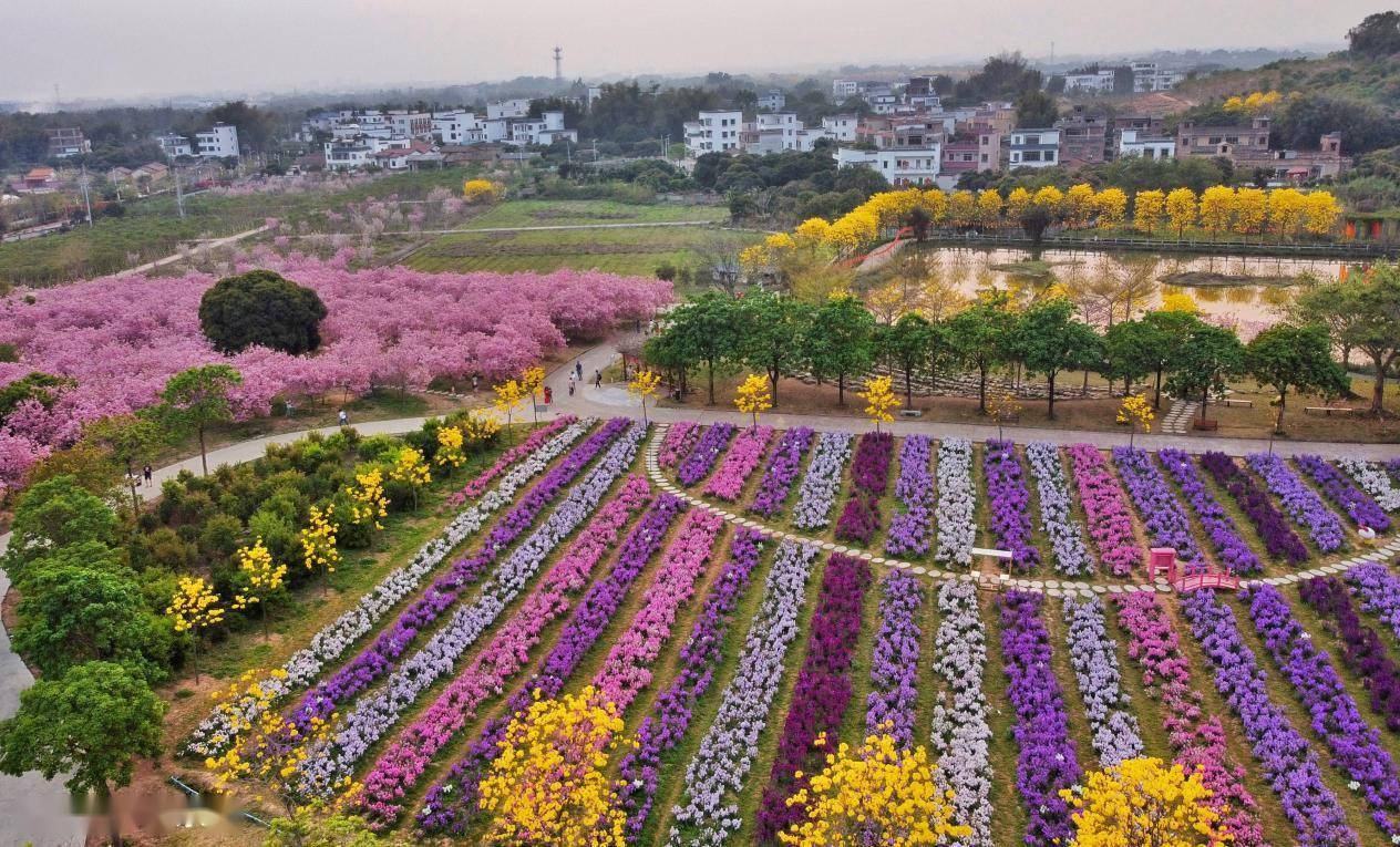 省共建现代农业示范园,市重点项目"万花园"的核心区,距从化区中心9