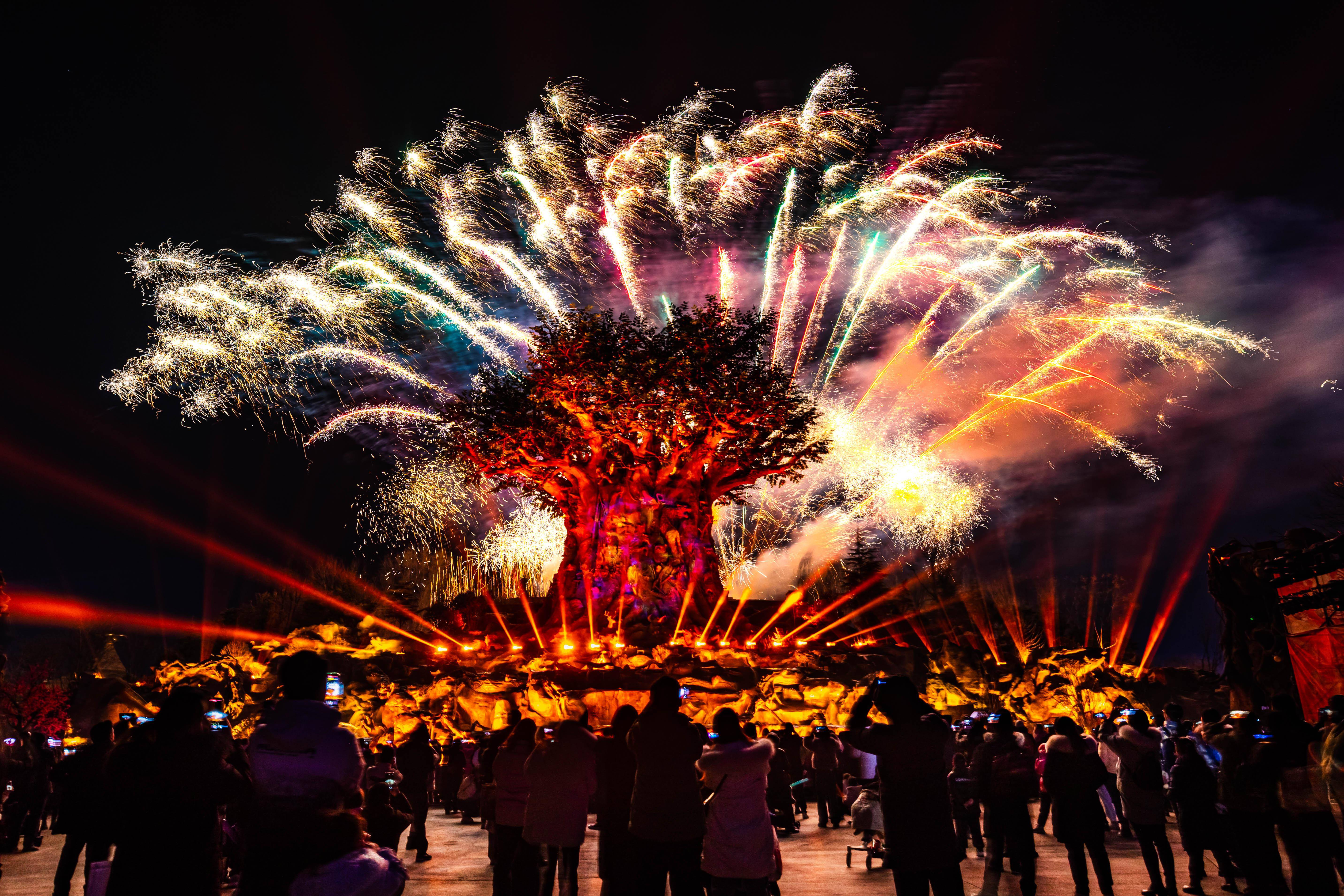 共赏一场浪漫璀璨的烟花秀_动物王国_繁花_飞翔