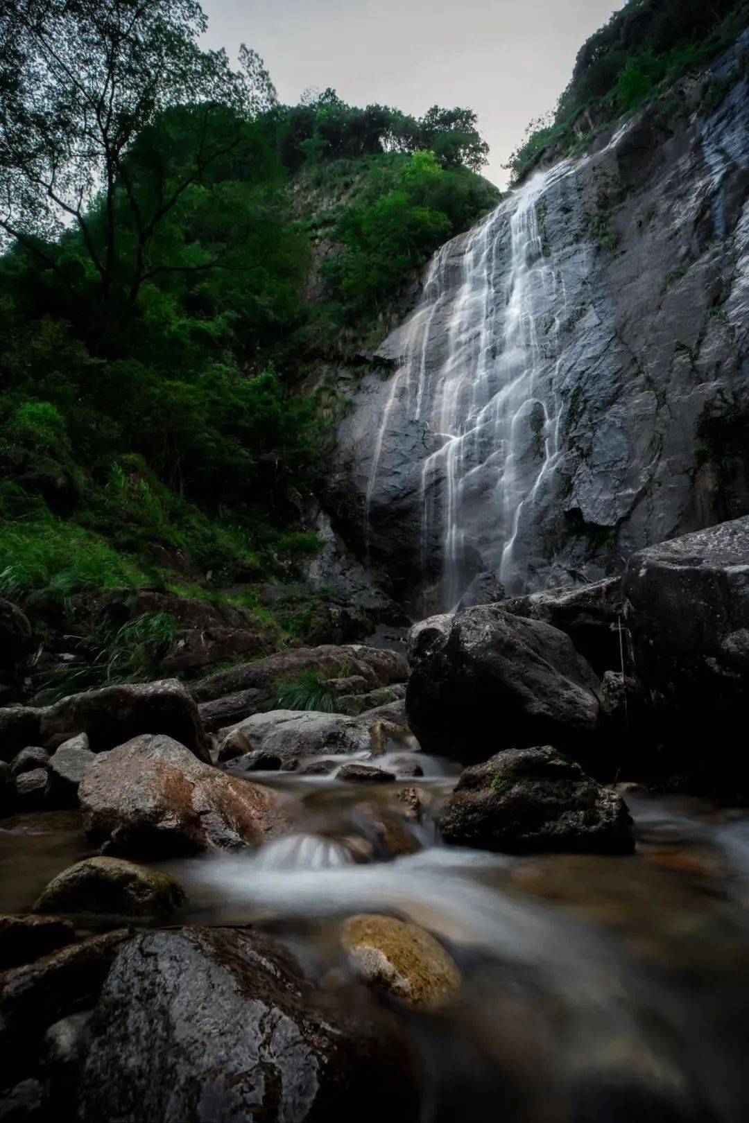 醉山野景区·春节门票福利活动时间:2024年2月10日-2025年2月9日优惠