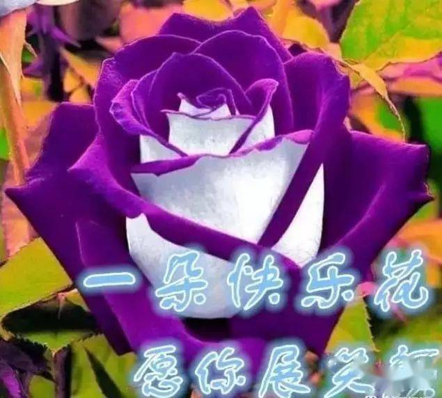 喝酒的看看……_祝福_下联_横批