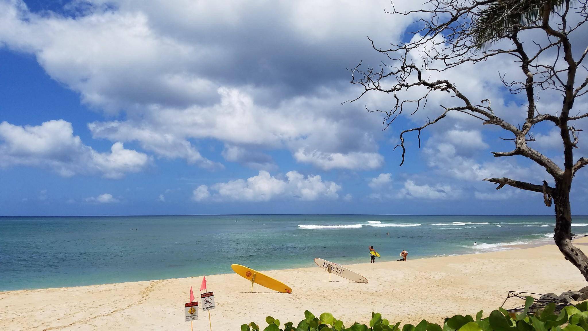 晚餐 夏威夷文化精髓夜幕降临,去看一场卡莫阿娜鲁奥秀(moana splash