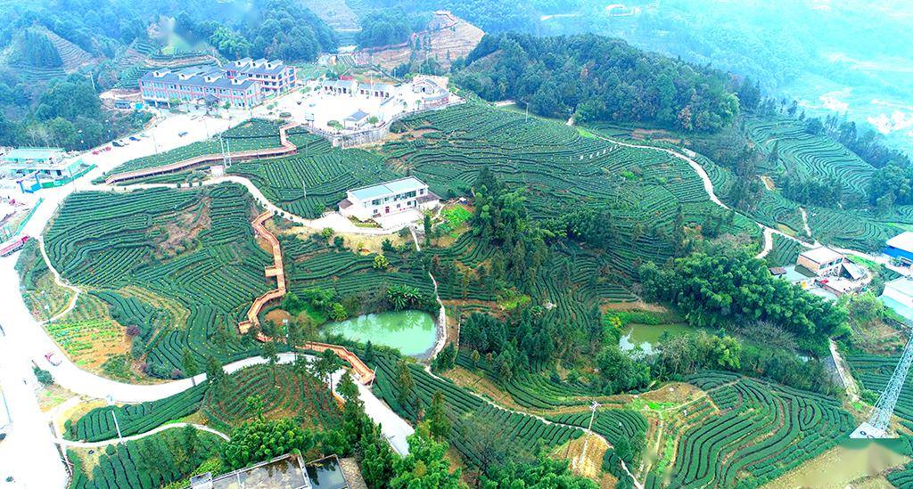 落润镇蜀山茶海05生态科普旅游专线: 七仙湖省级生态旅游示范区——胜