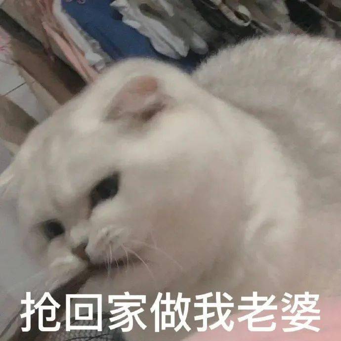 斗图搞笑表情包:好爱我的宝