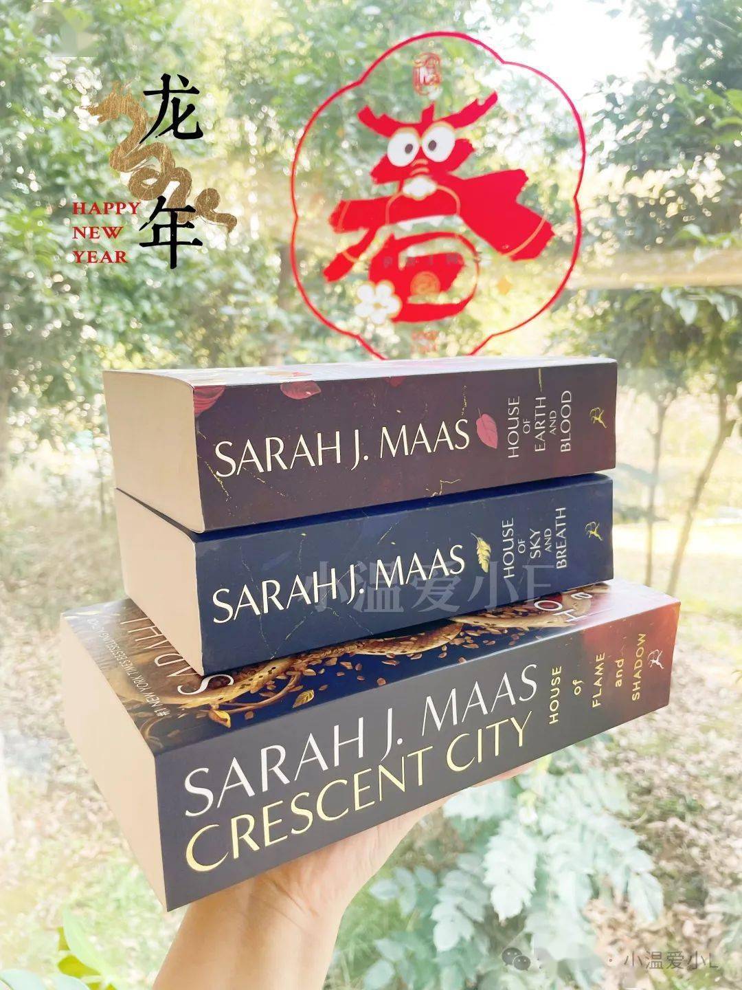 我的2023年:如果你一直读书,一直读,一直读.