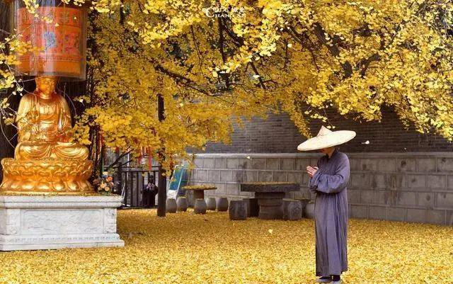 杨本民:佛缘_主人_彭州_地方