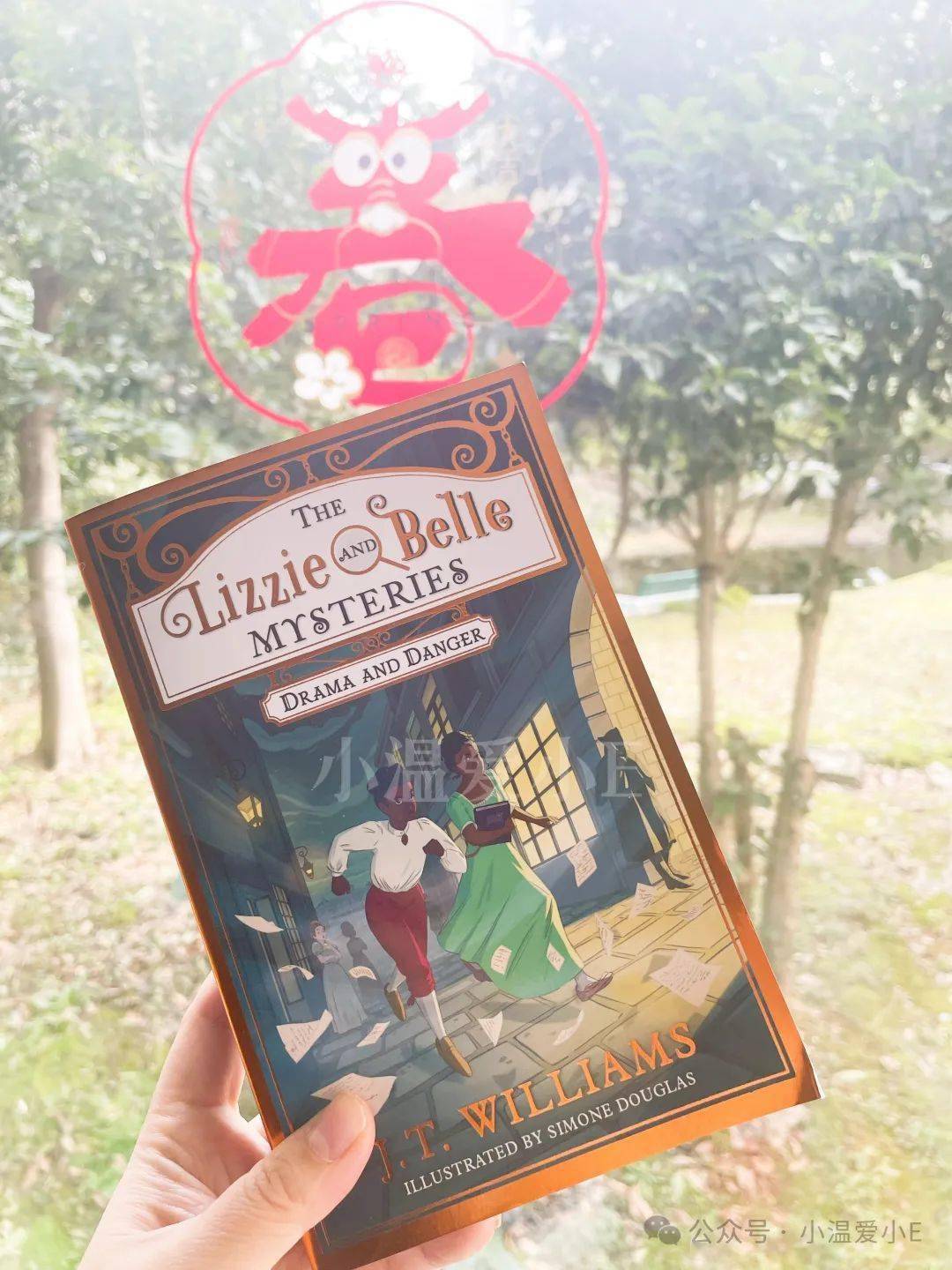 williamsthe lizzie and belle mysteries购买链接95具体的书评在