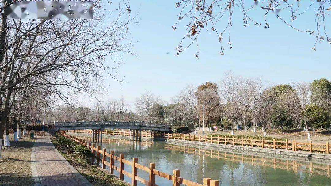 细数九亭冬日的美,一起来感受→_的力量_阳光_九亭镇