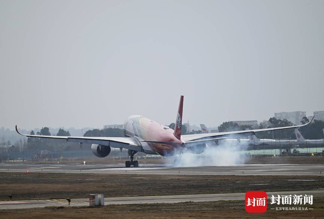 假期余额不足 春运返程高峰显现 | 图集_大年_运行_飞机