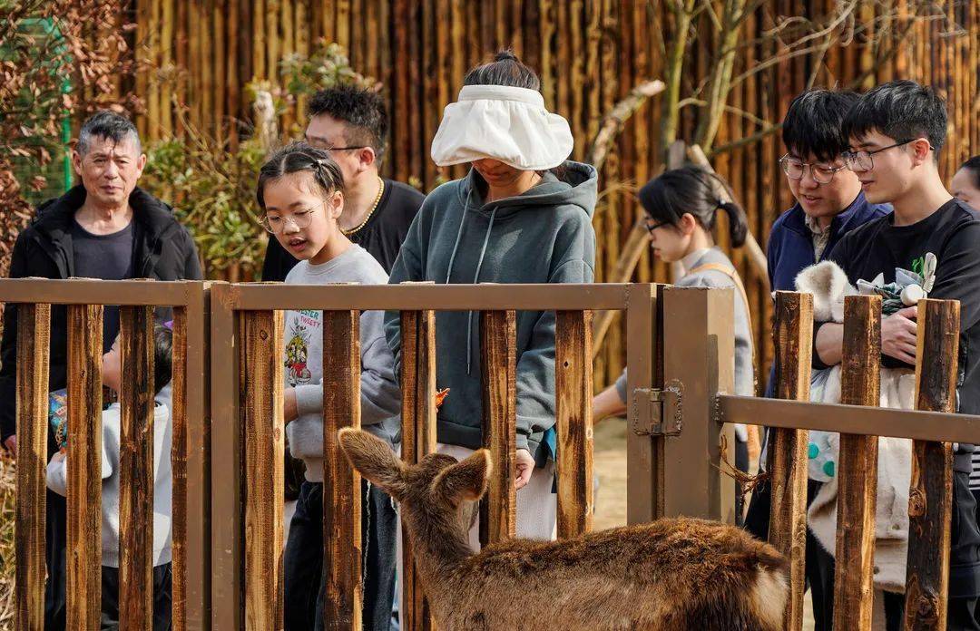 单日入园人数突破2万!萍乡人家门口的"遛娃圣地"今年春节火出圈!