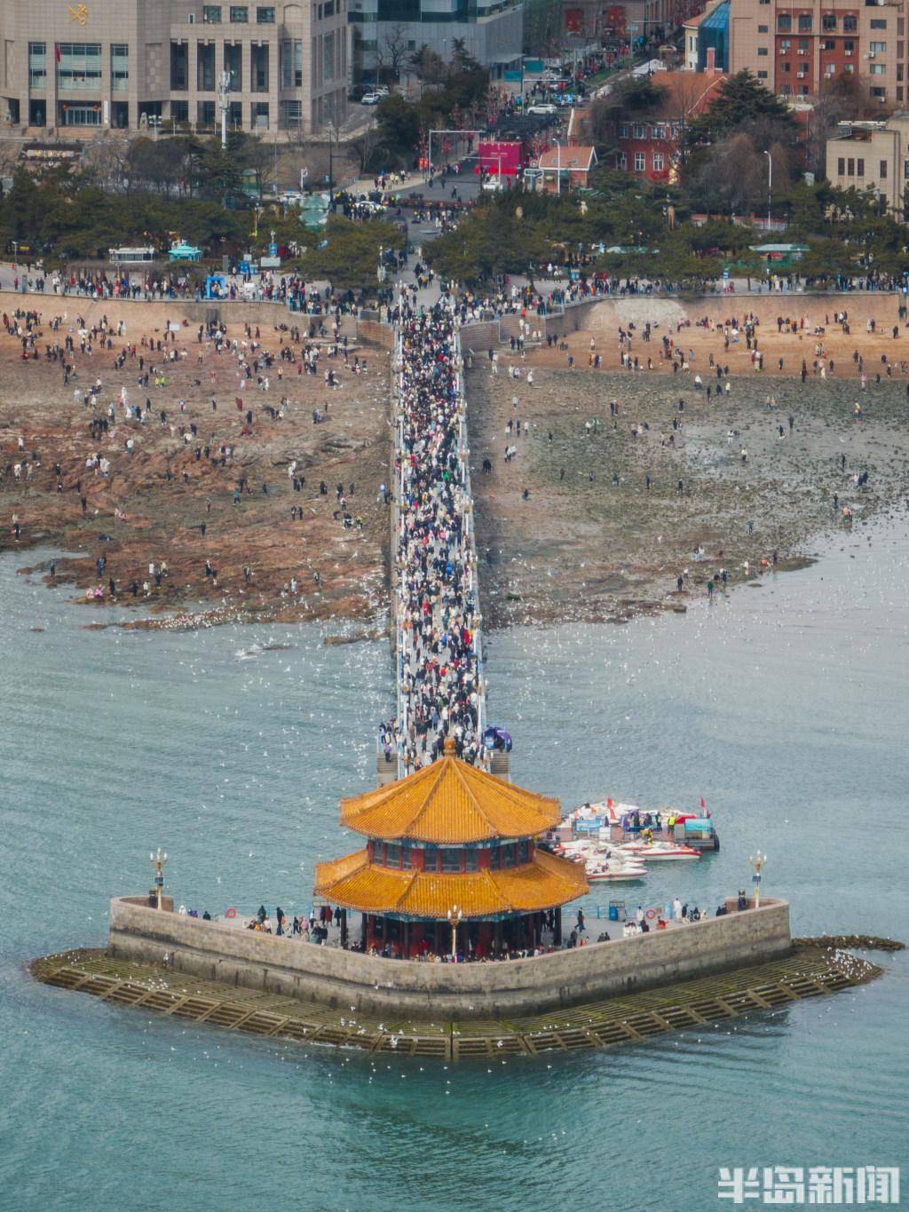 "流量"栈桥,持续火爆_游人_游客_海鸥