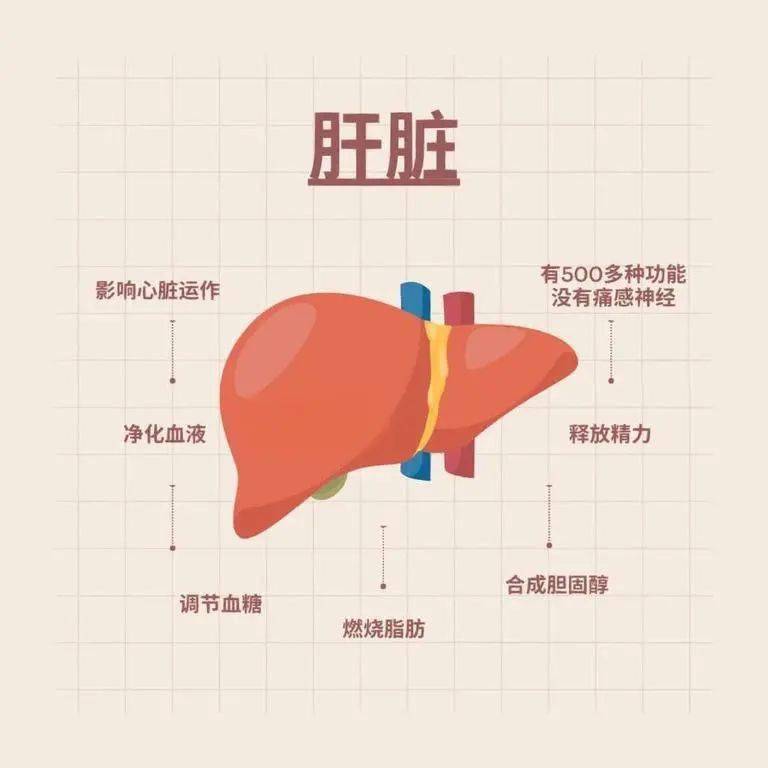 保护我们的小心肝