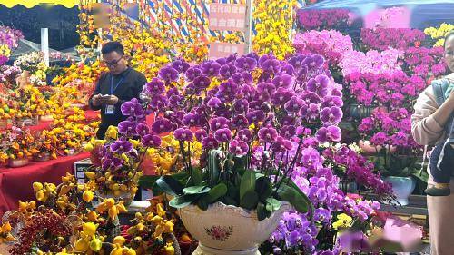 2024番禺迎春花市热闹开档_商务区