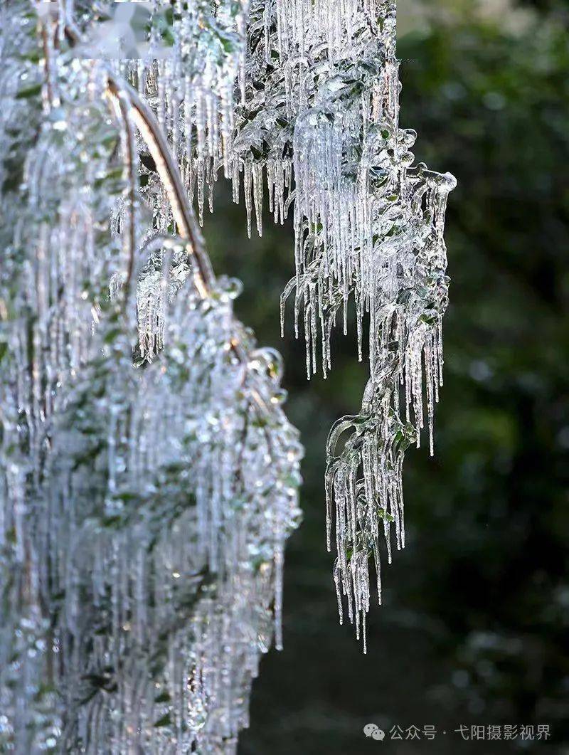 优秀奖《艺术品 》江鸿跃优秀奖《紫气东来 》 徐饶春优秀奖《信江