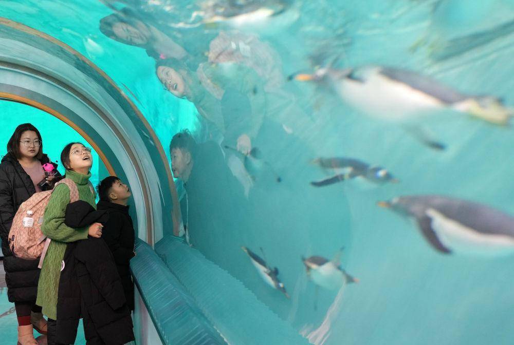 壁紙 海底 海底世界 海洋館 水族館 1000_672