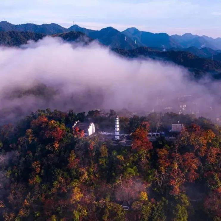 每个都想要!_展现_富春江_桐君山