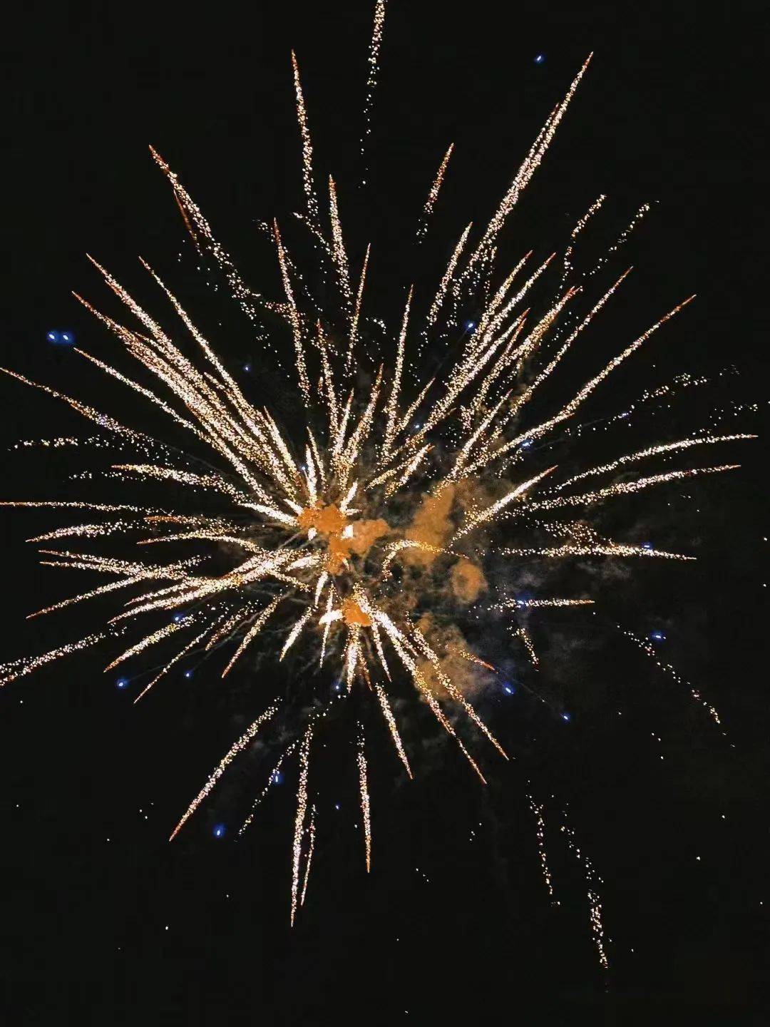 阳光心语|新年这场烟花送给谁_生活_成长_生命