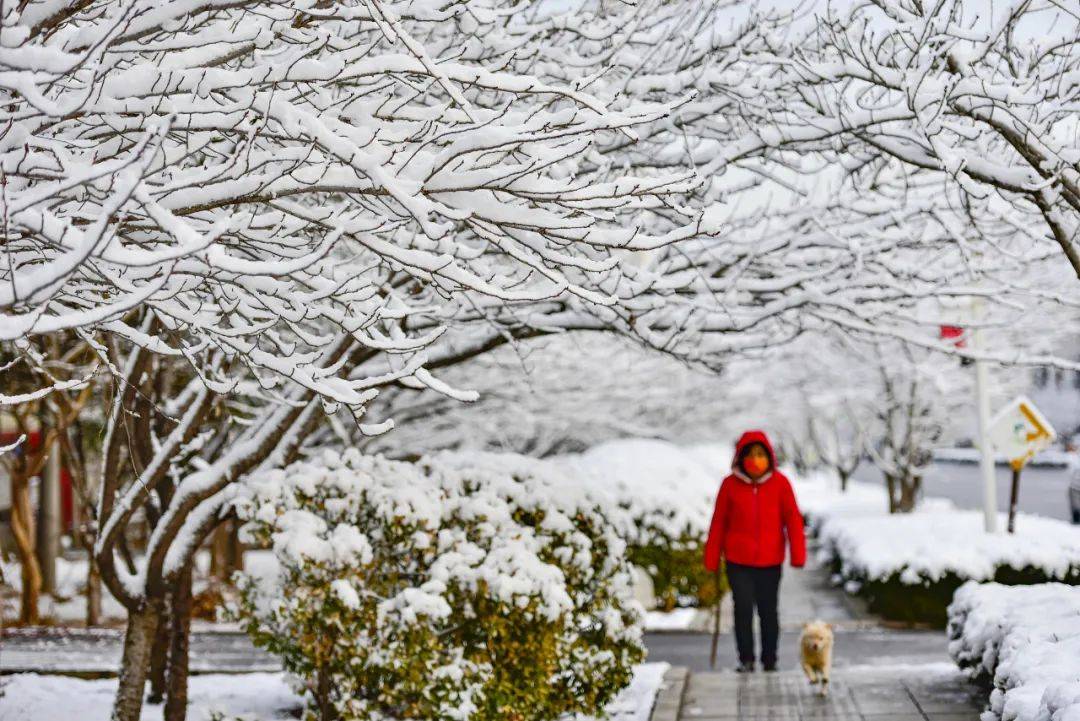 壁纸 花 桌面 1080_721