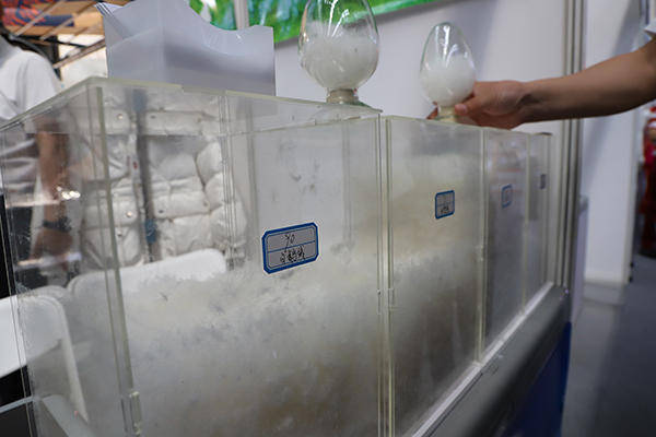新春走基层|为品质生活"加点料" 产业升级开新篇_花卉