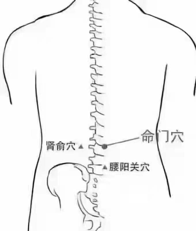 腰部有很多穴位