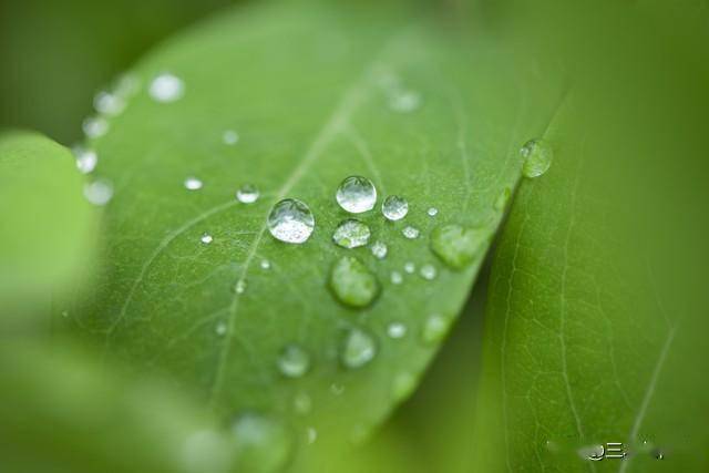 后日19号雨水节气到