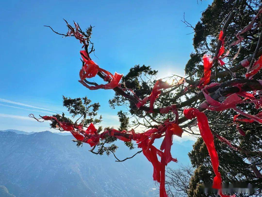 汉中龙头山景区人气爆棚,喜迎龙年"开门红"!_游客_人人_旅游