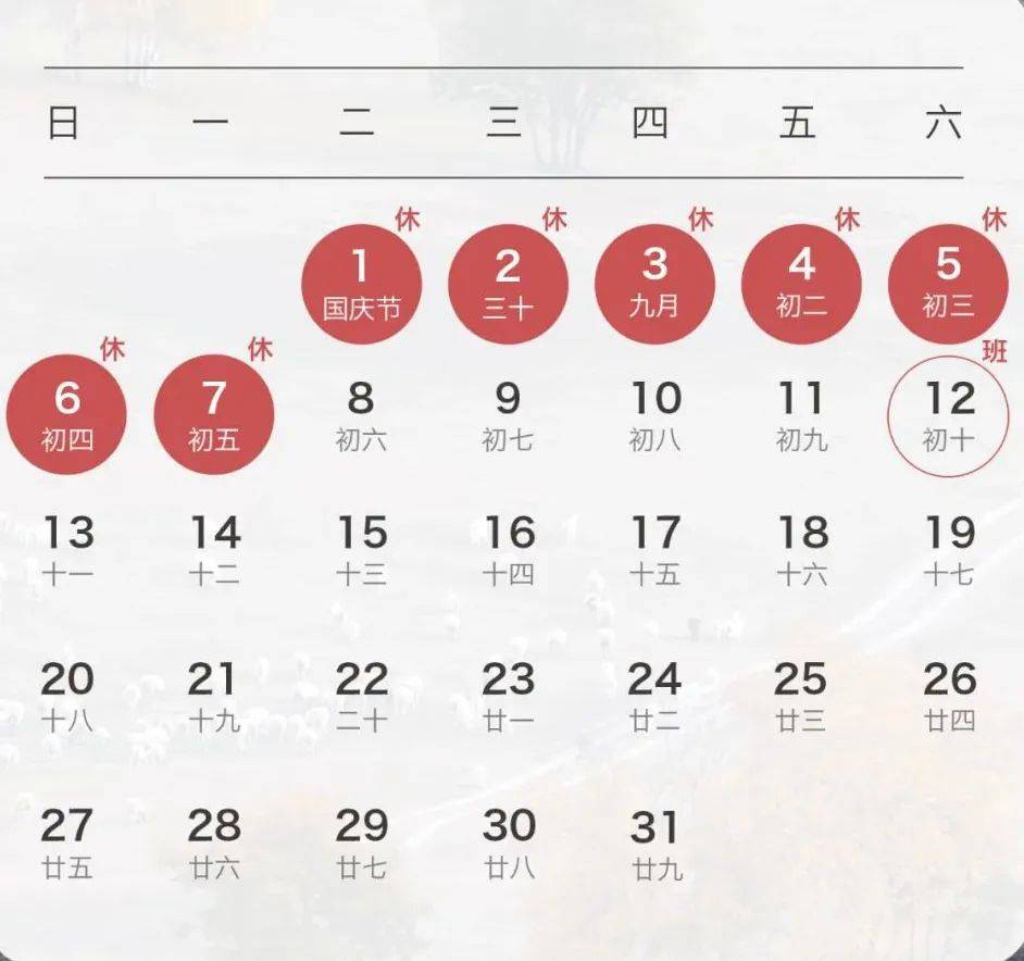 重庆_工作日_视频