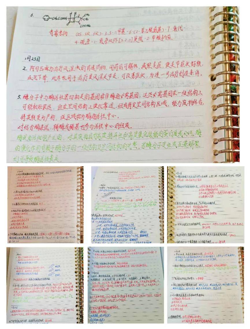 民大人解锁寒假模式!_实验_研究_宝应