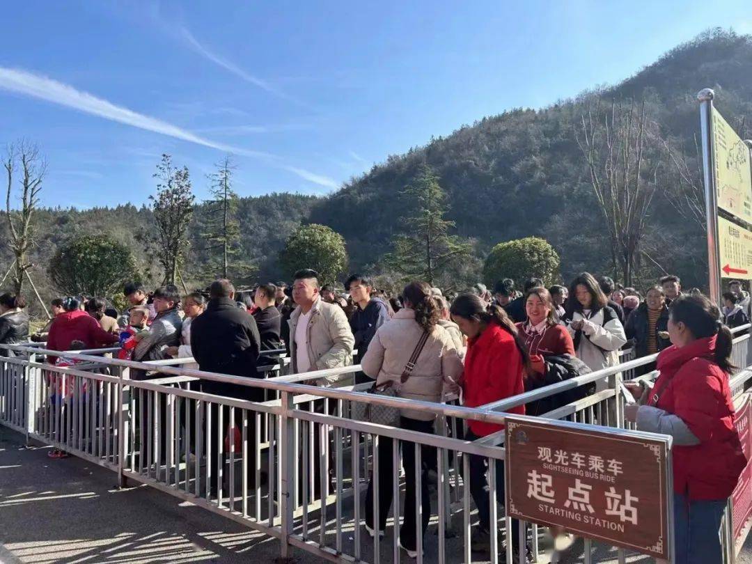 石阡县2024年春节假日旅游综述_游客_温泉_值班