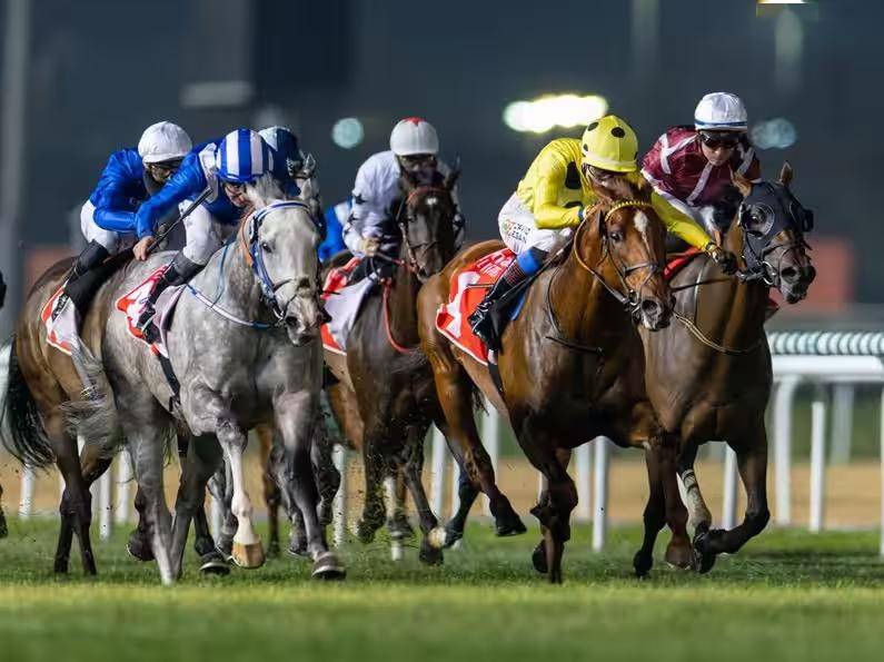 3)|国际船舶展,艺术展,赛马嘉年华_dubai_时间_网址