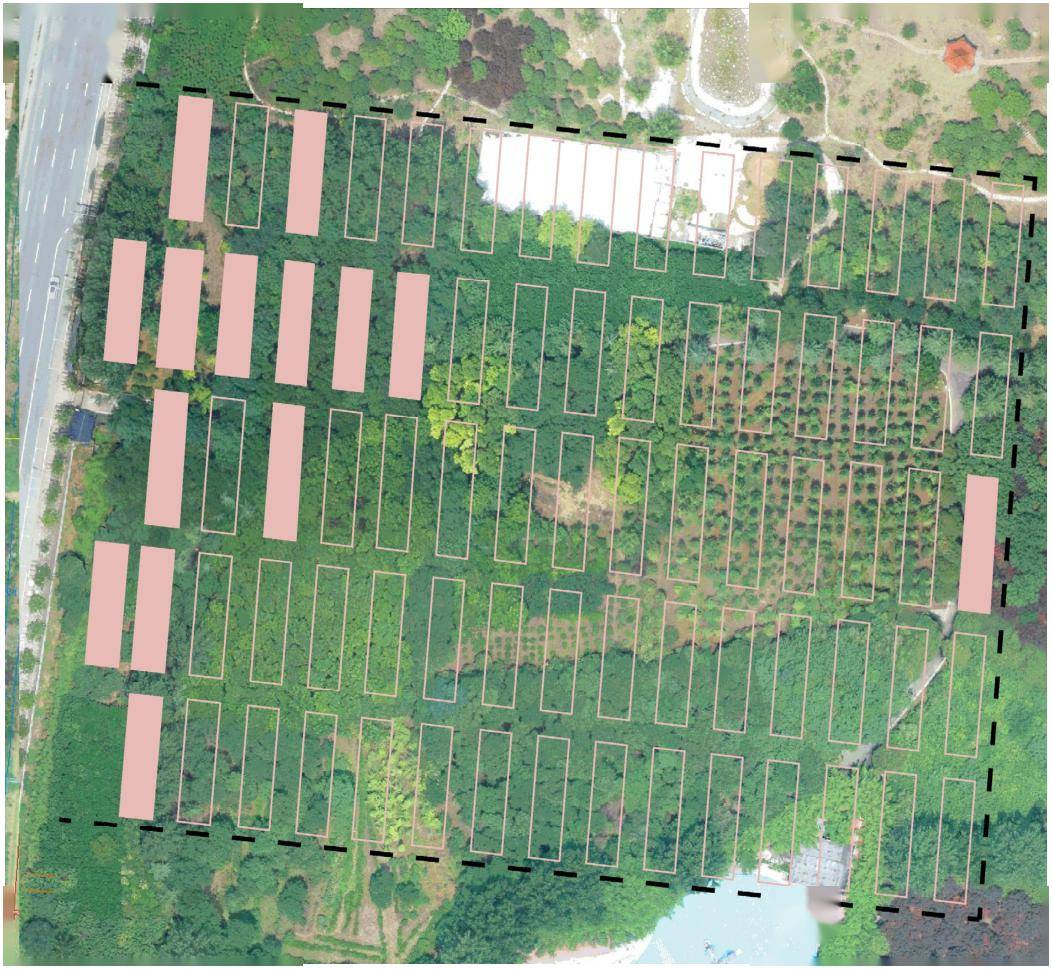 中国社会科学院考古研究所2023年度田野考古工作汇报会纪要(二)_基址
