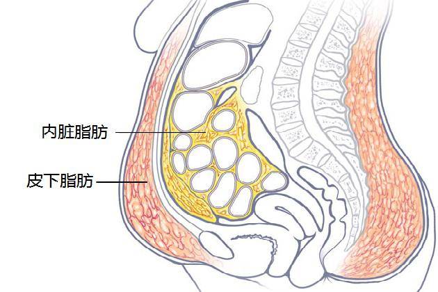 大部分情况下