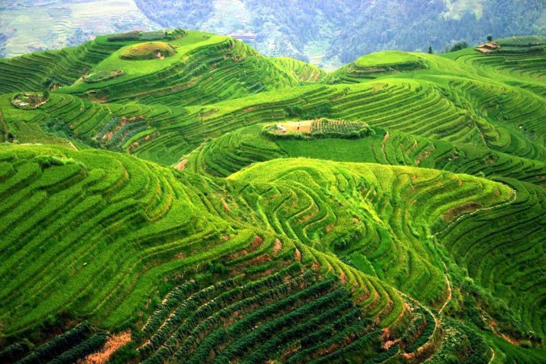 航拍中国·从空中俯瞰十大最美的目的地_梯田_黄河_景区