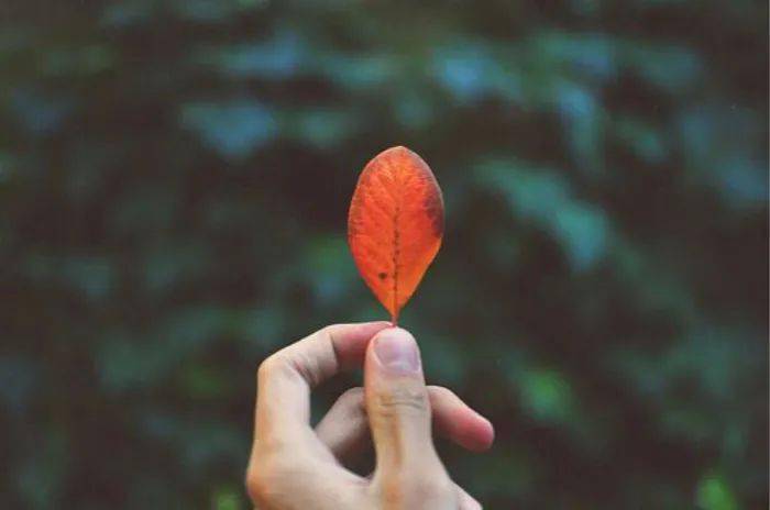 做人的分寸(深度好文)_交往_人和_距离