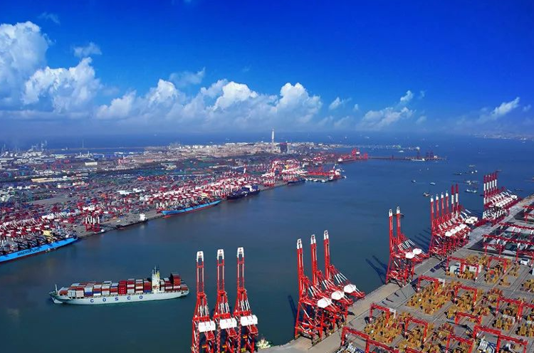 望岳谈｜高质量招引，有所为有所不为（望岳诗词百度汉语）