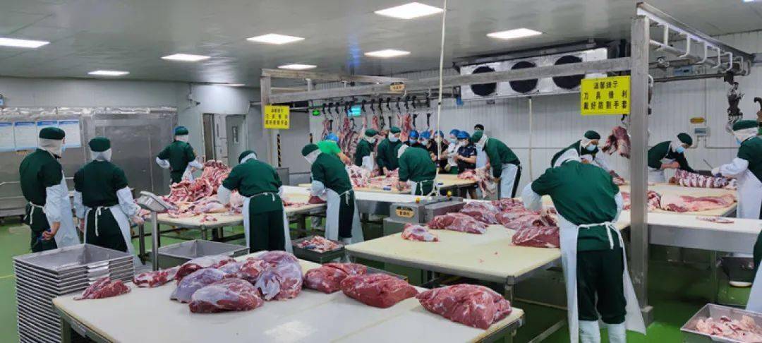 经营_杜记_卫辉