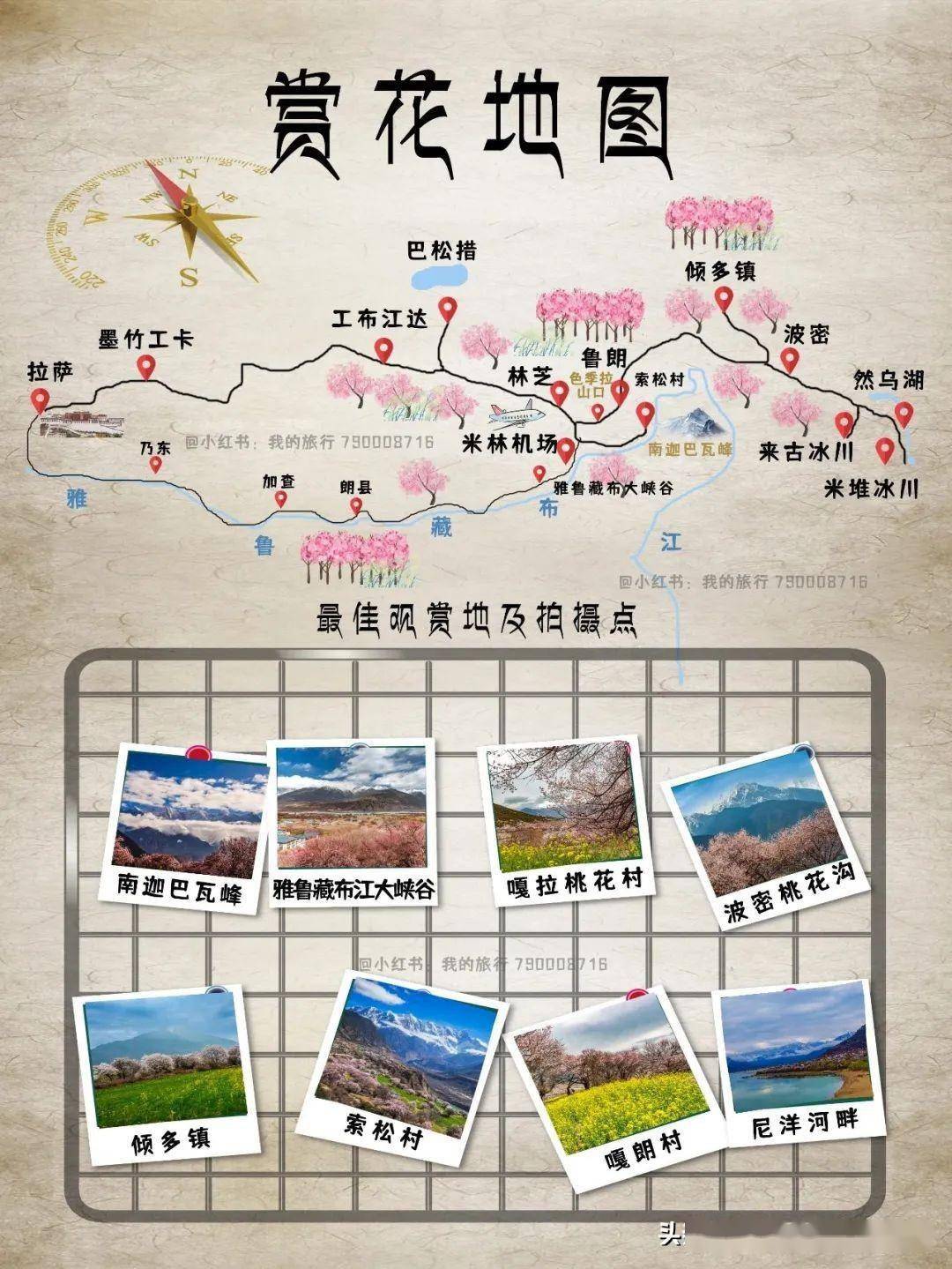 2024林芝赏桃花,8大观赏地,6大经典路线,攻略推荐!