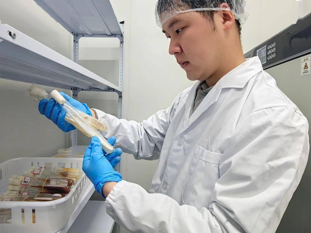 董杨_种植_调查